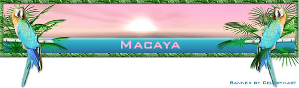 macaya banner by celeryhart