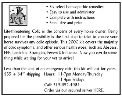 horse kit info