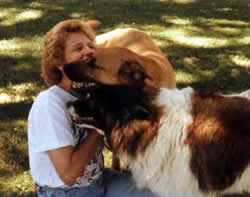 Joyce, Bandit and Jill